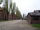 Viale appello.JPG
